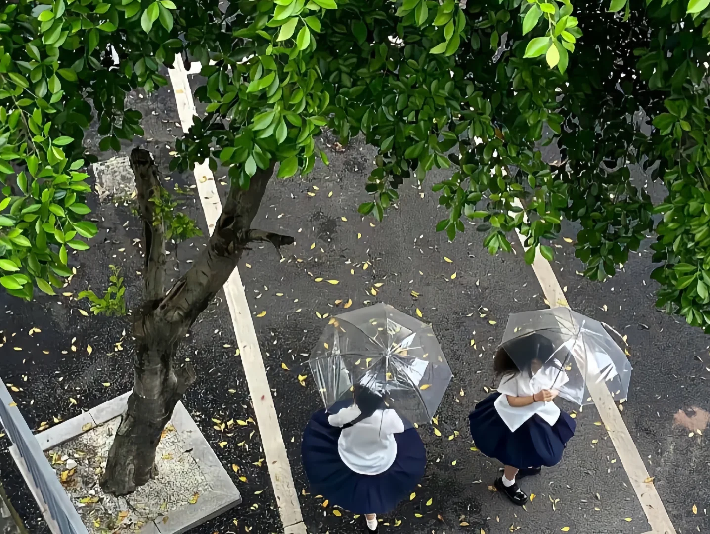 超美ipad壁纸分享