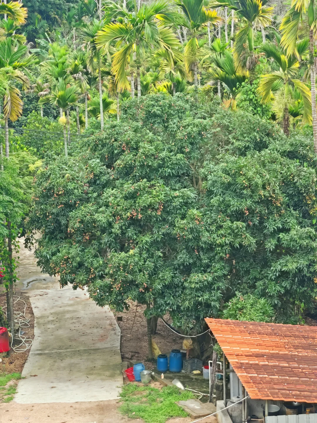 怪不得大多数人都对自建房有执念