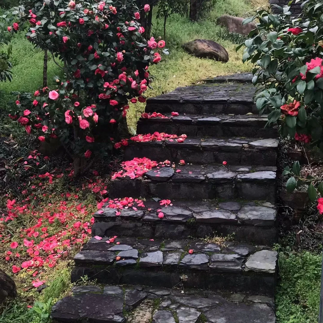 “春红丰腴。”