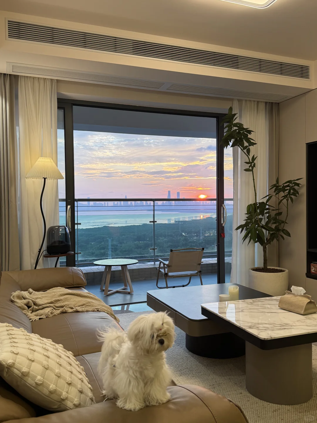 120㎡🏠1000万｜95后在深圳安家啦！