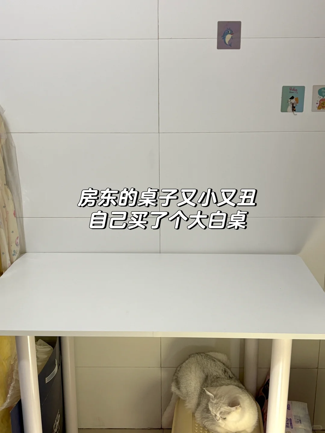 我是如何租到满意的出租屋｜租房攻略分享