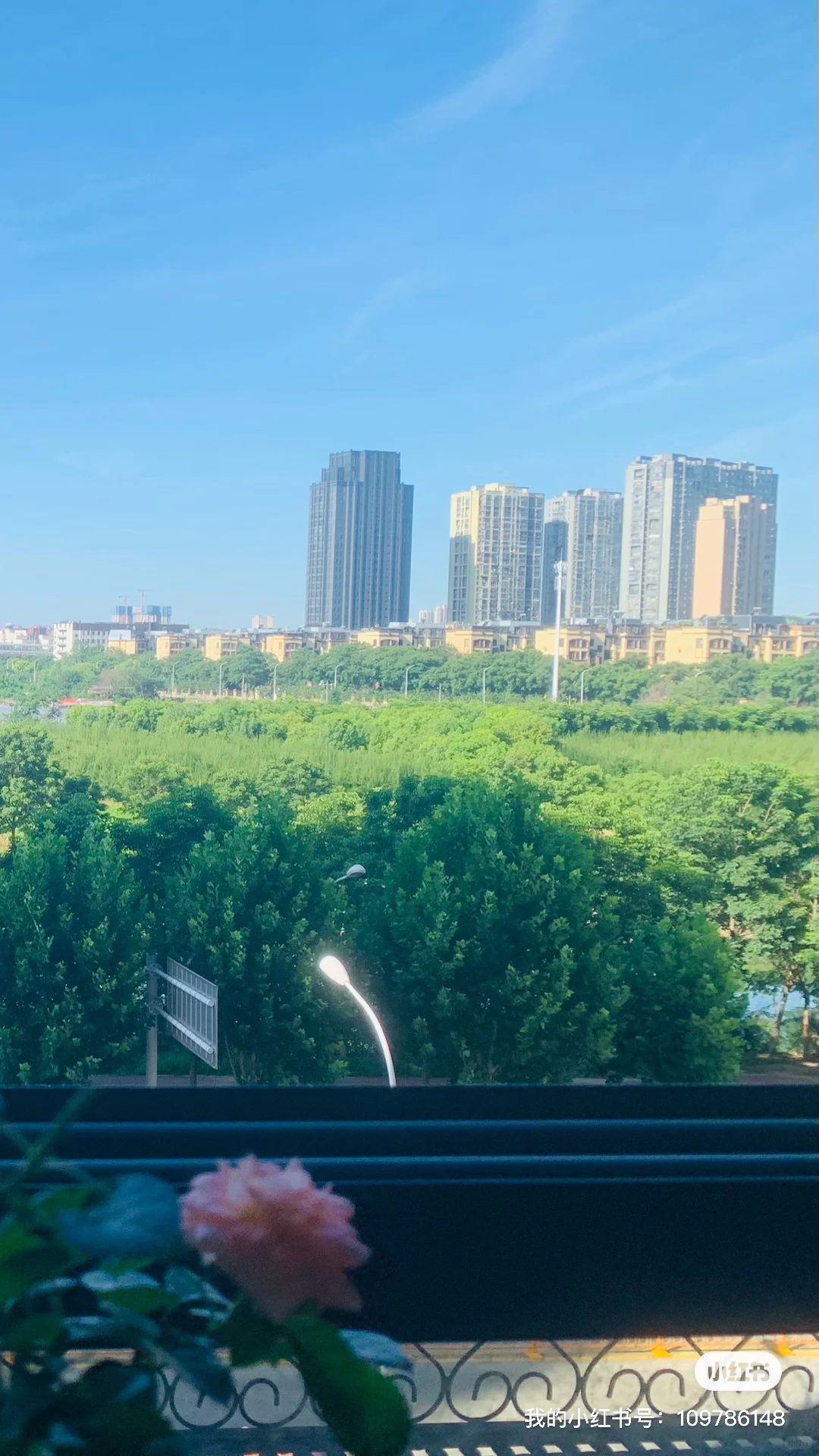 武汉南湖自己卖房第十一天