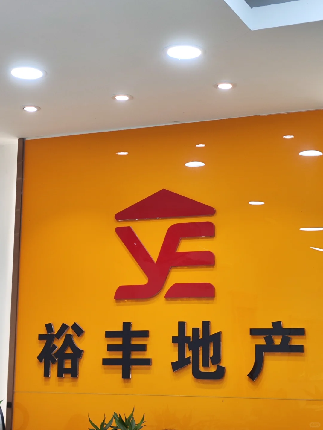 重生之我在裕丰当经纪人🤟