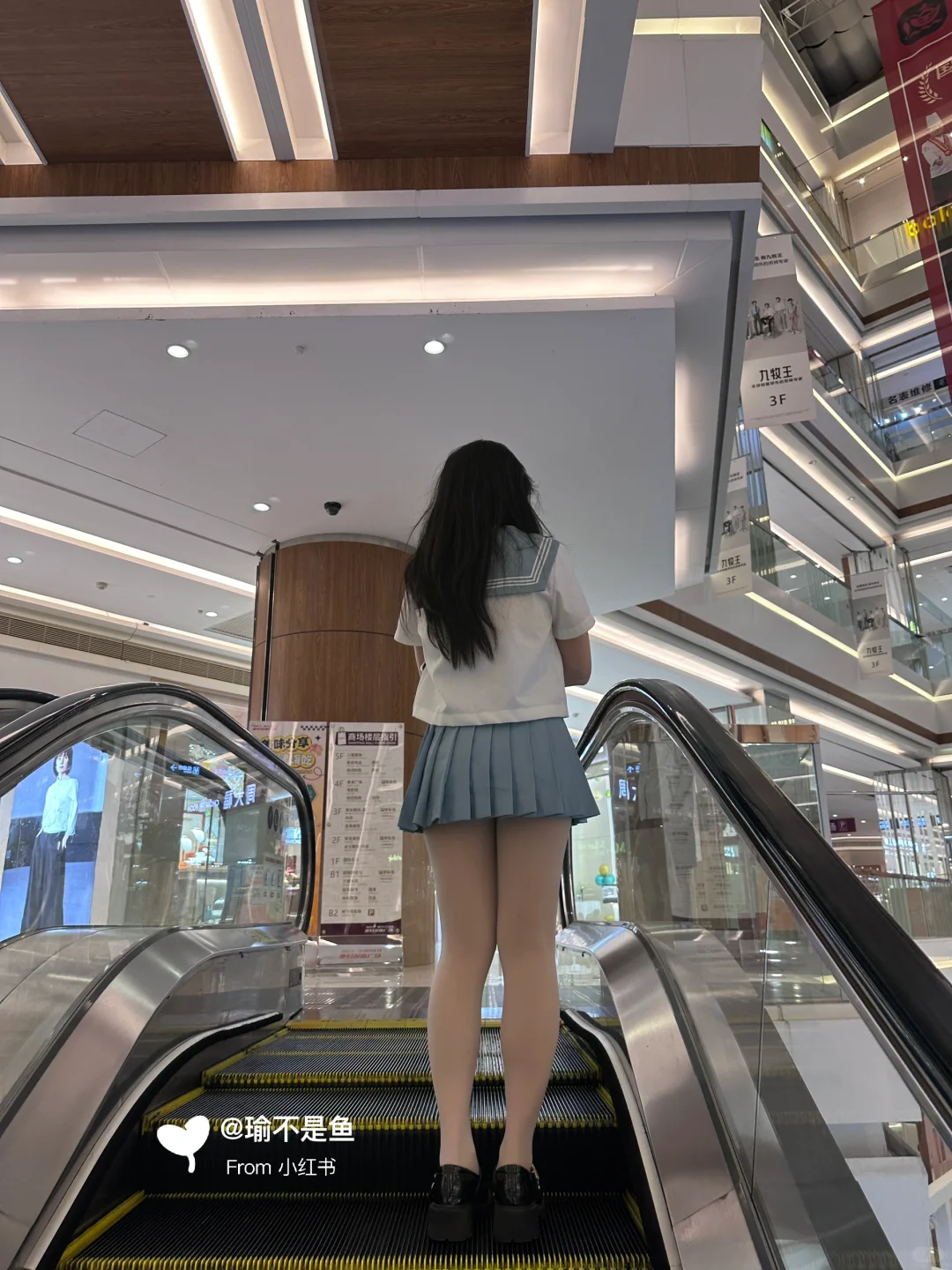 尝试狗短日常
