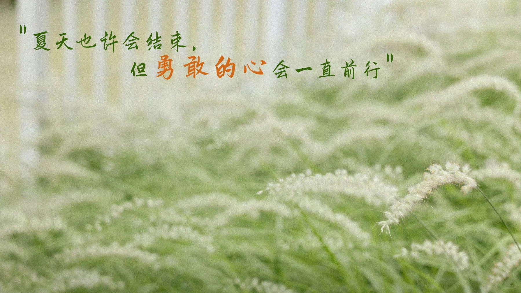 种地吧最爱的几张电脑壁纸