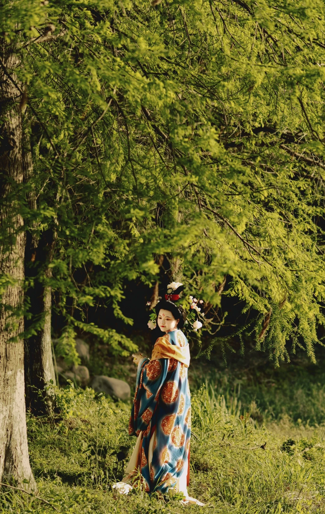 云鬓花颜｜唐朝女子图鉴