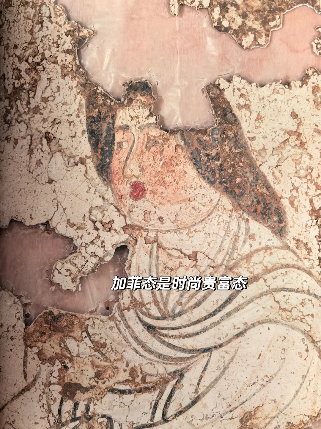 Looking my face! 唐代女子丰腴之路
