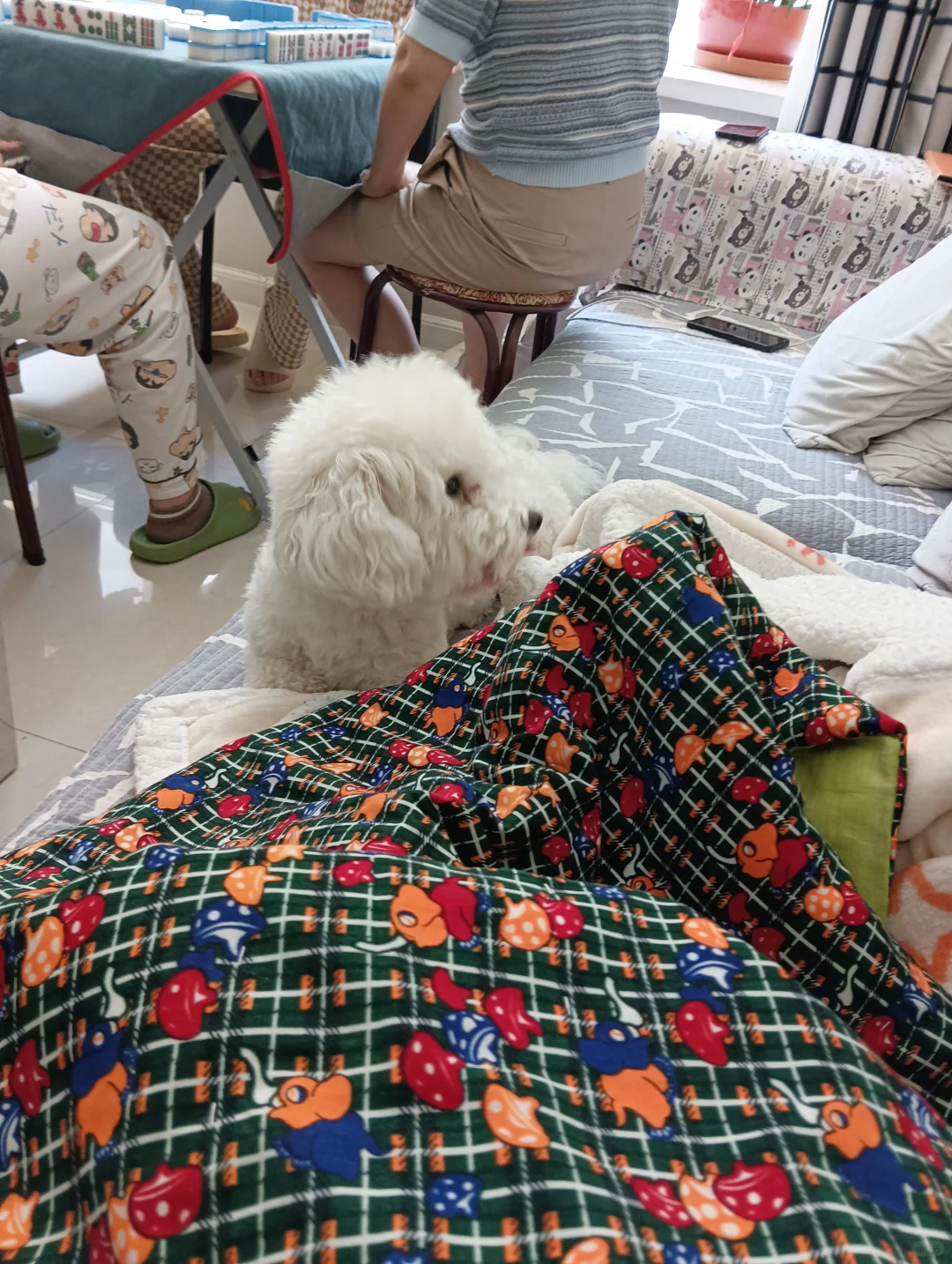 加油鸭美少女战士