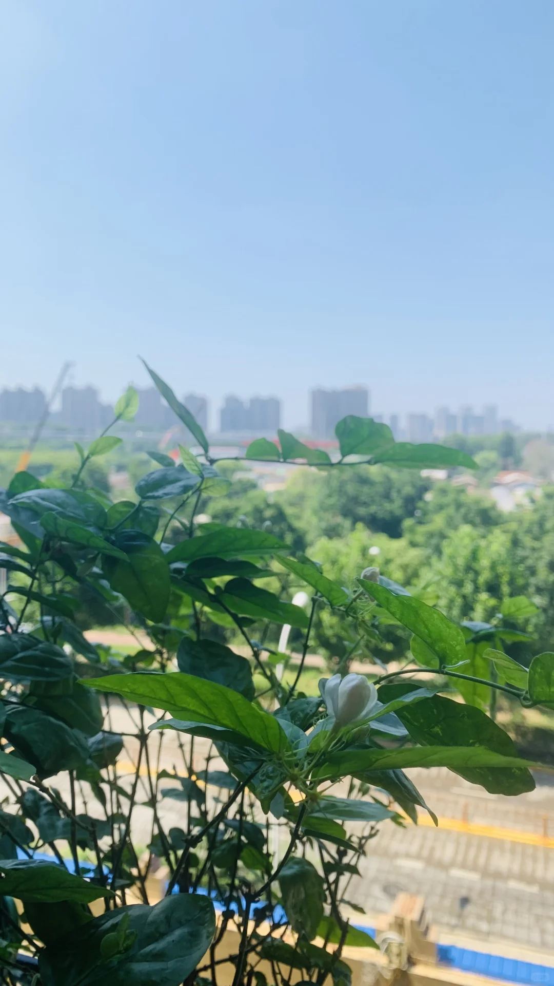 武汉南湖自己卖房第十一天