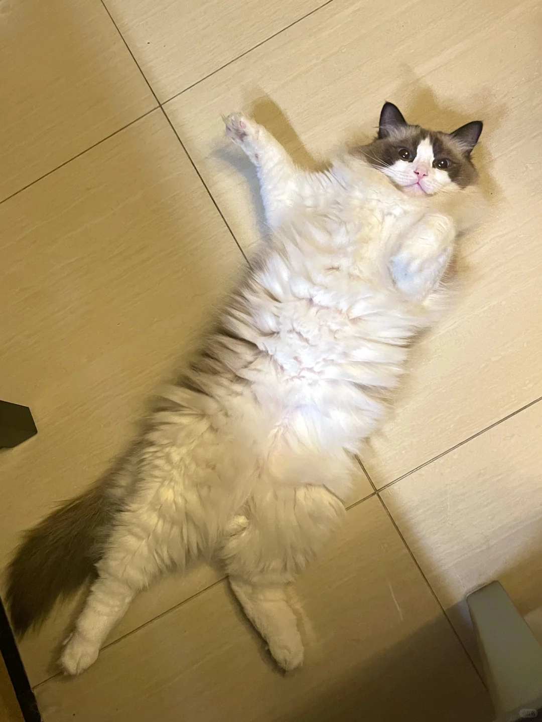 你们喜欢这样穿搭的女孩吗