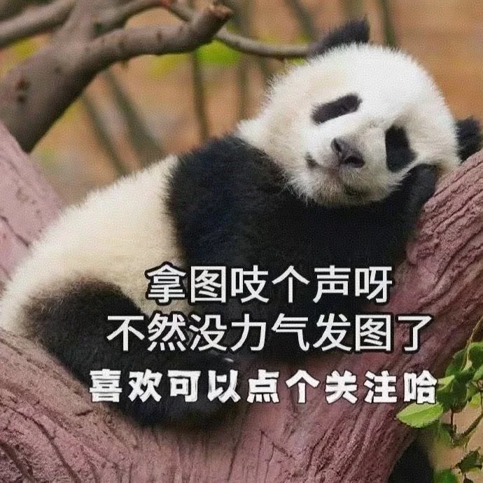 #我要代表月亮消灭你