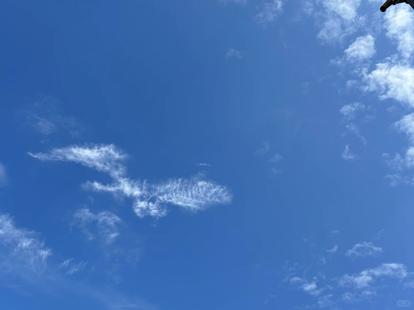 37岁 我把自己养的 珠圆玉润