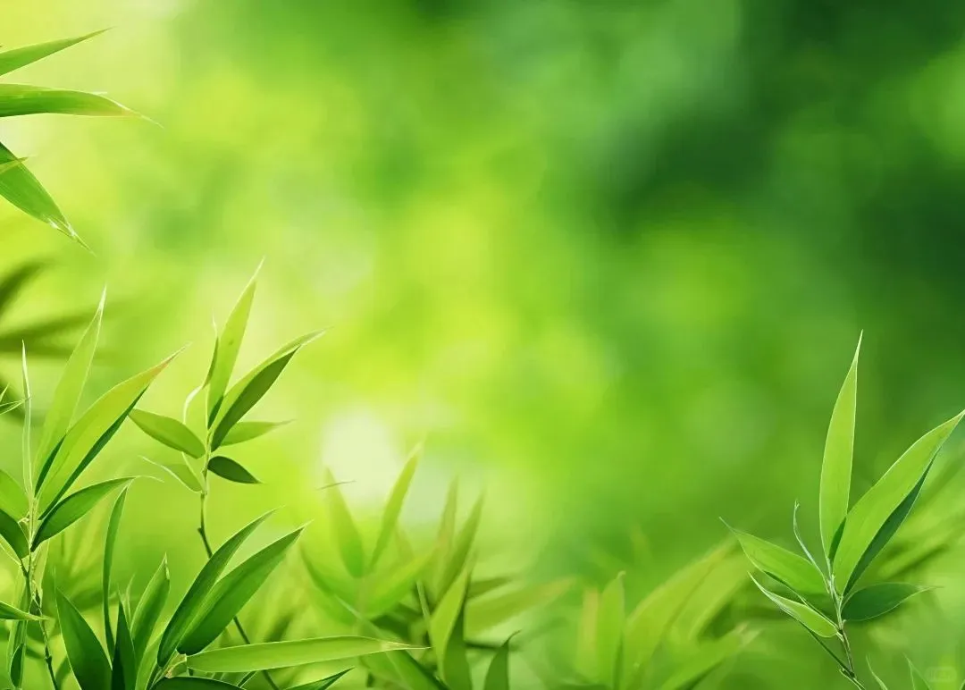 护眼神器！电脑平板专属壁纸，告别视力疲劳
