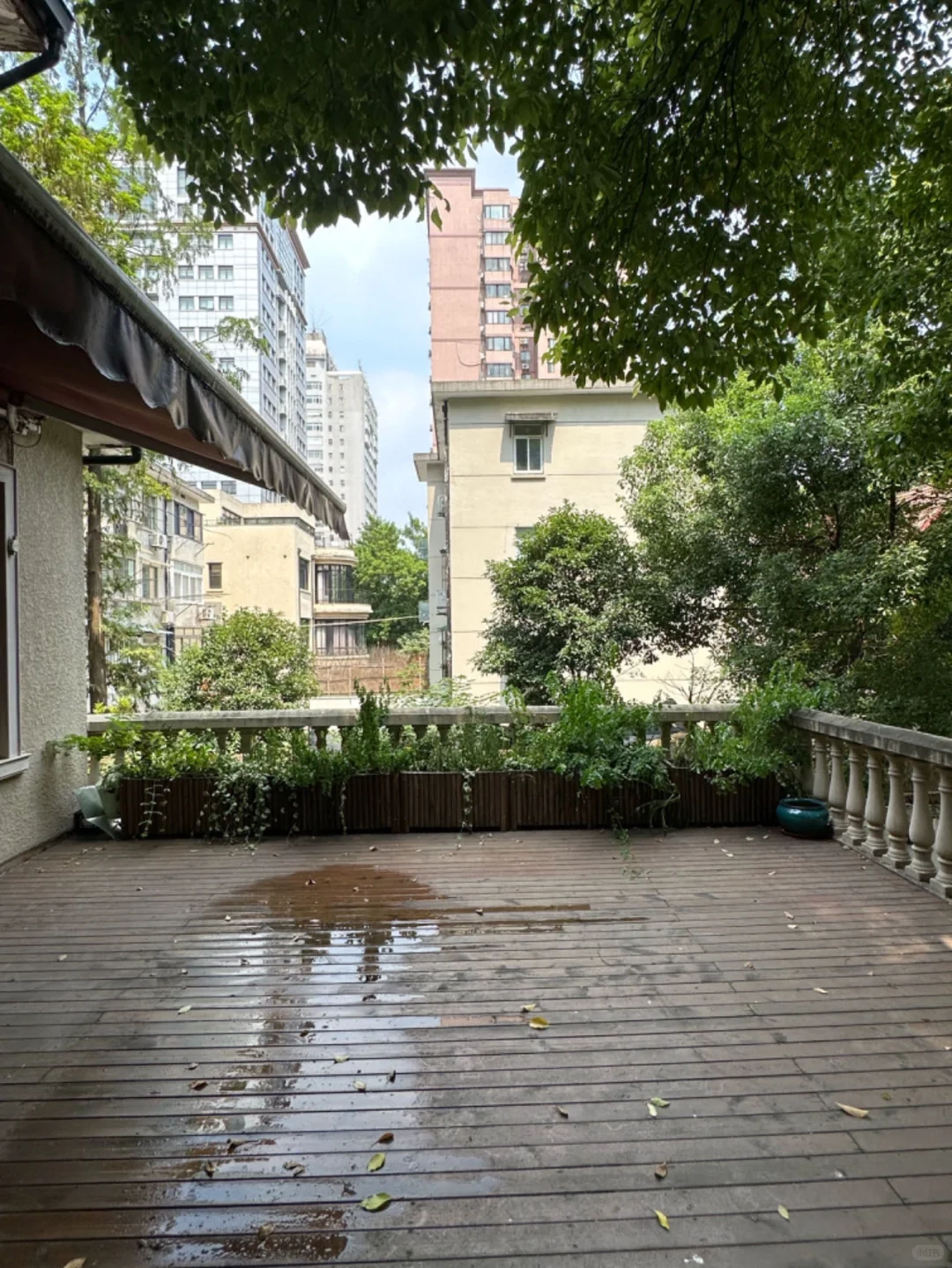 沿街·独栋花园洋房 | 花园450平，🉑停6部车