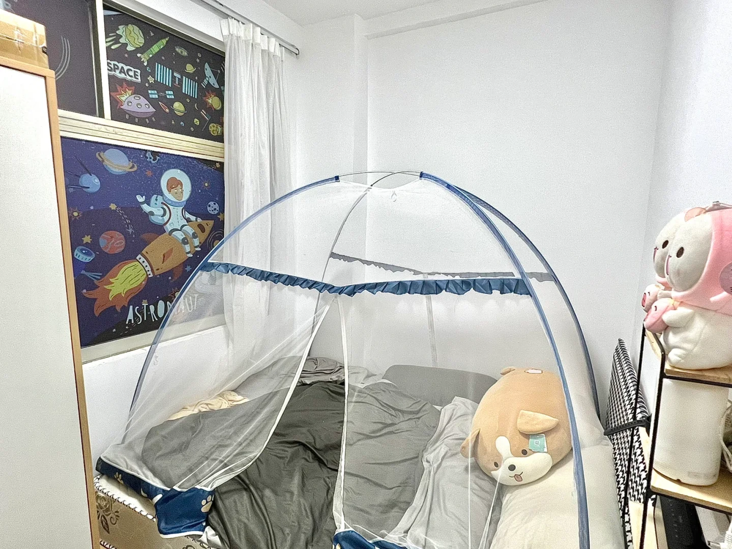 个人转租|免费送99新小米电视和Tcl风扇