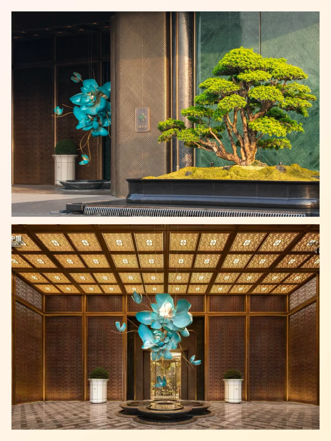 真拒绝不了，我要向全广州安利绿城馥香园❗️