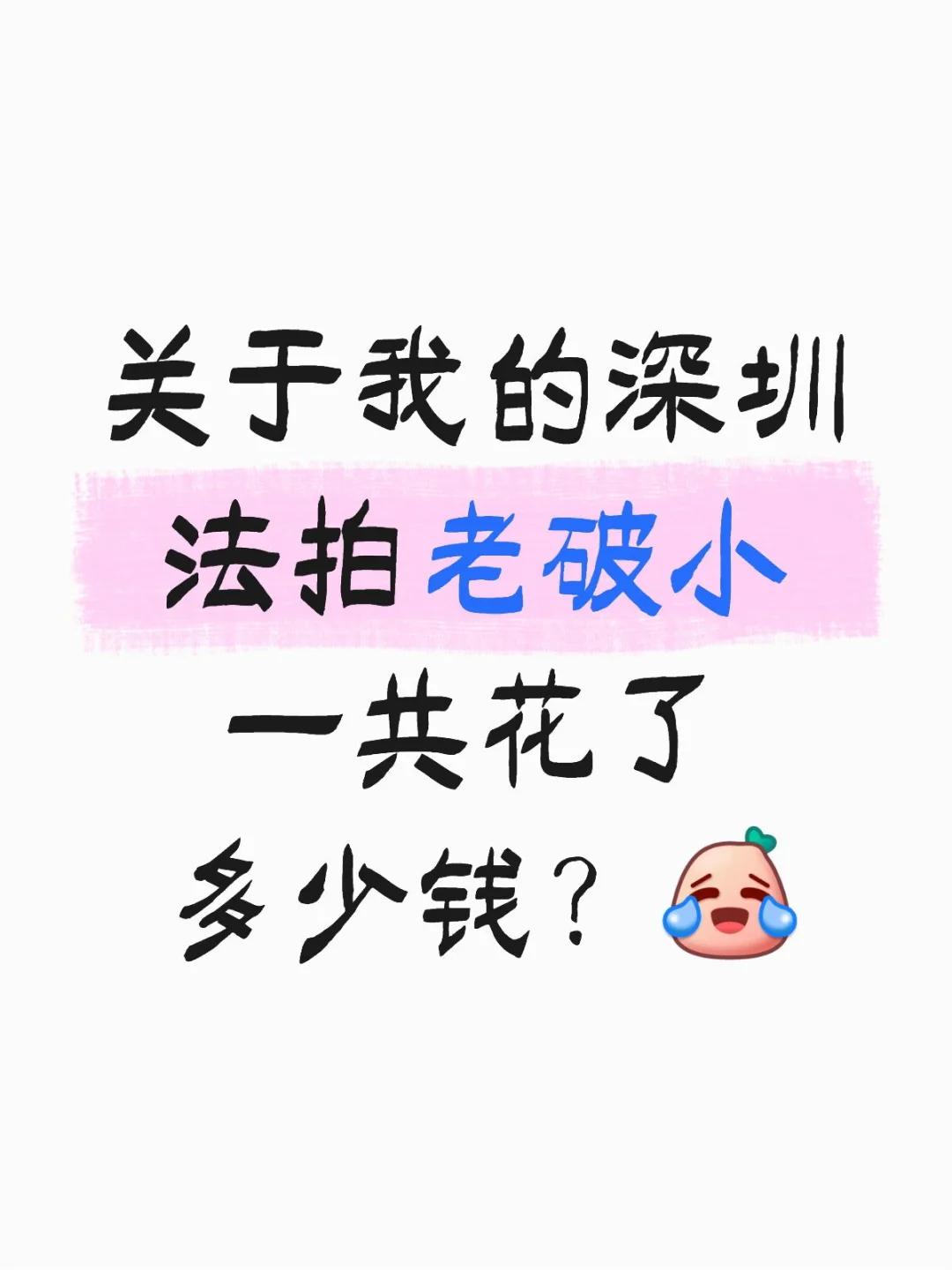 深圳法拍老破小花费记录📝