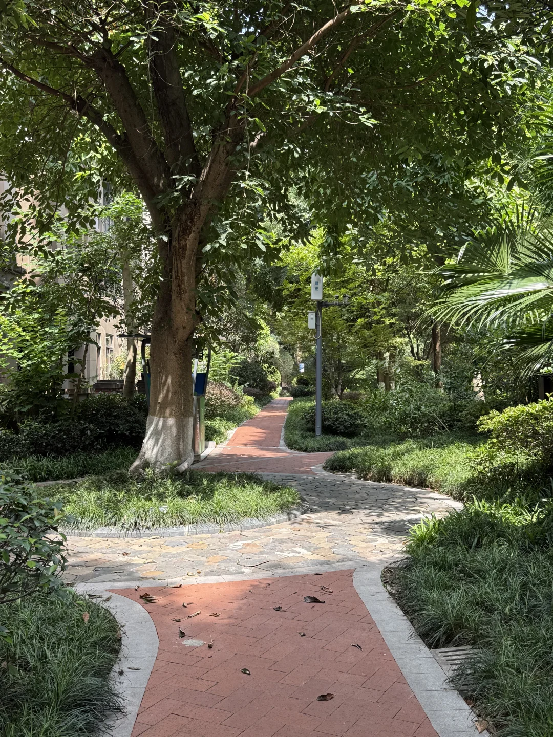 大学城🏡：847天，顶跃露台洋房，这次165万！
