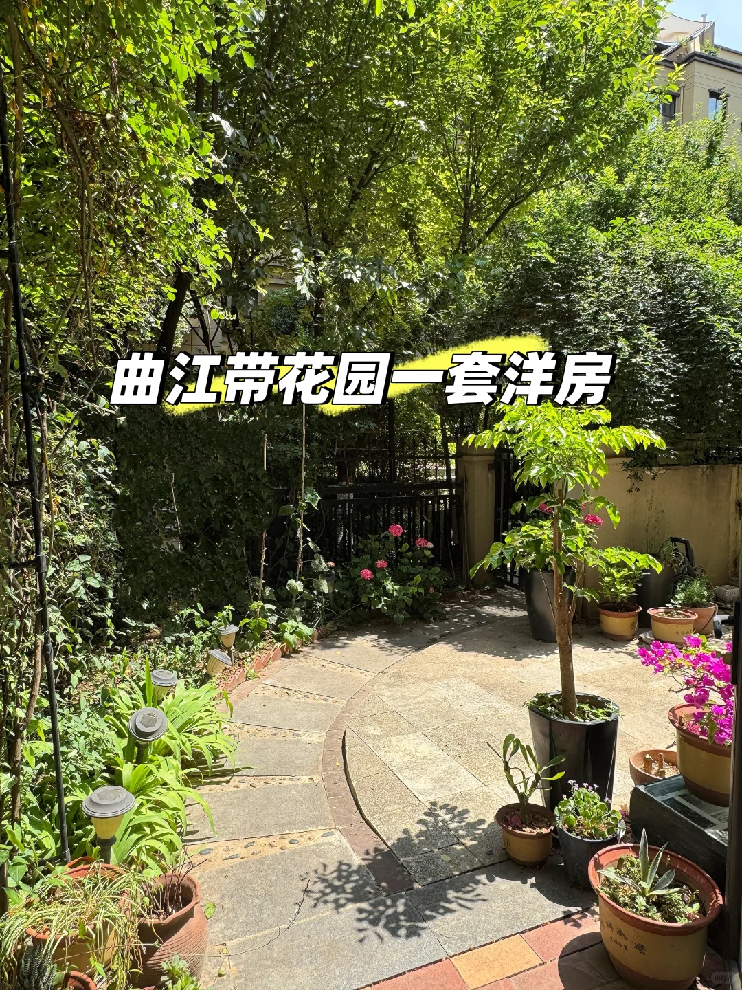 曲江带花园的洋房底跃急售🆘