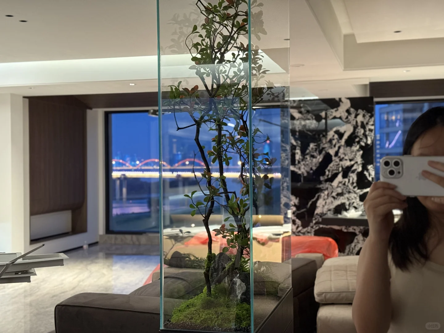 怎么会有人买不起房啊
