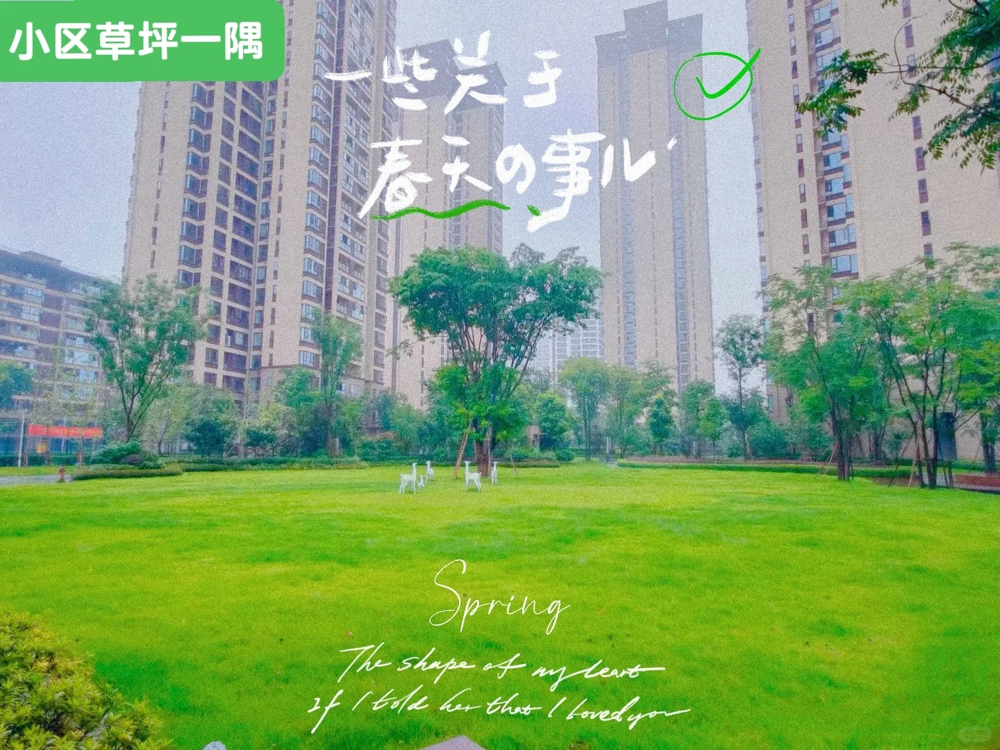 业主卖房，次新小区，婚房精装，亏本置换！
