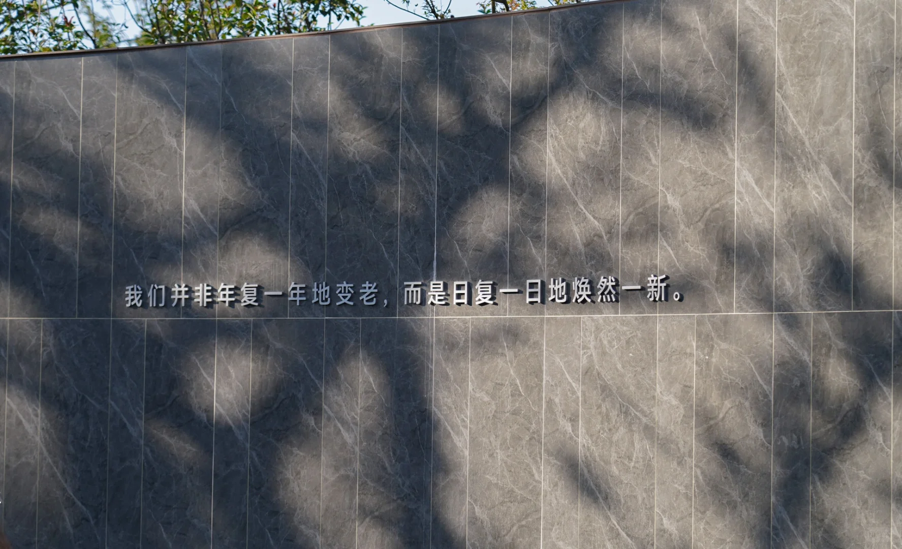 洋房是最合理想的逃世之地