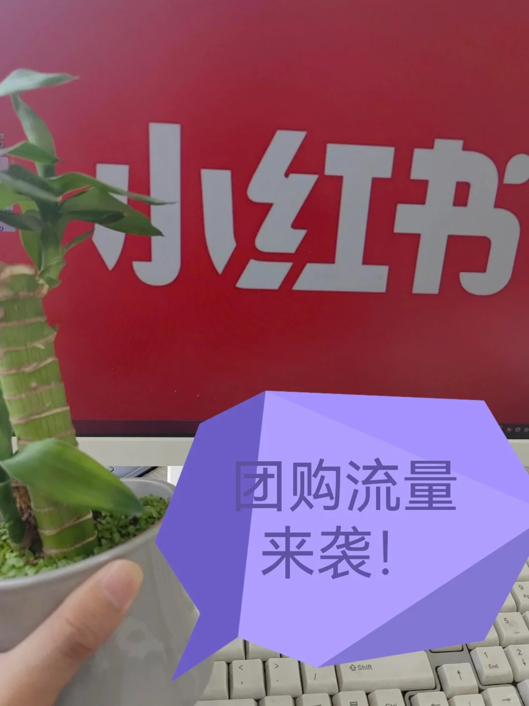 超简单🤓的小红书团购流程🐸