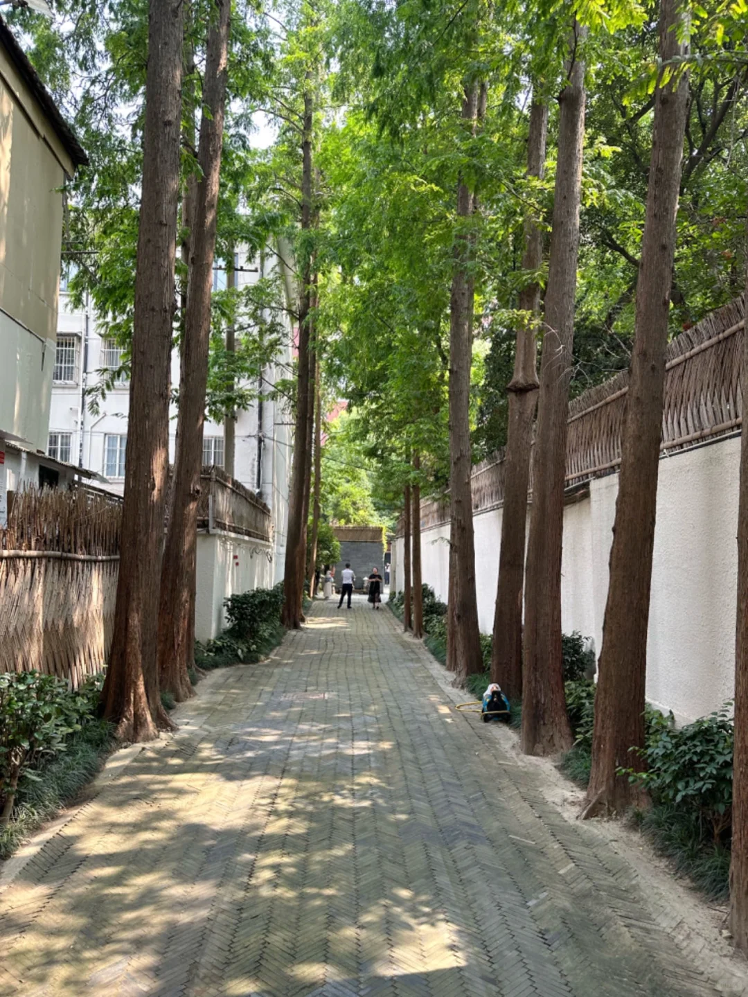 沿街·独栋花园洋房 | 花园450平，🉑停6部车