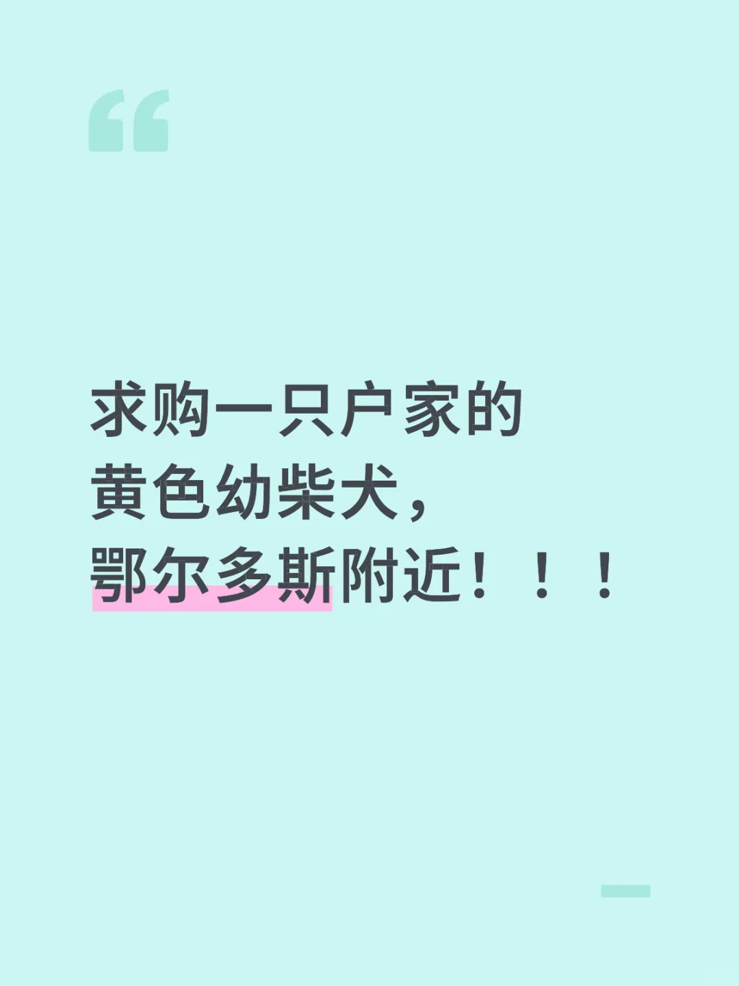 求购黄色幼柴犬