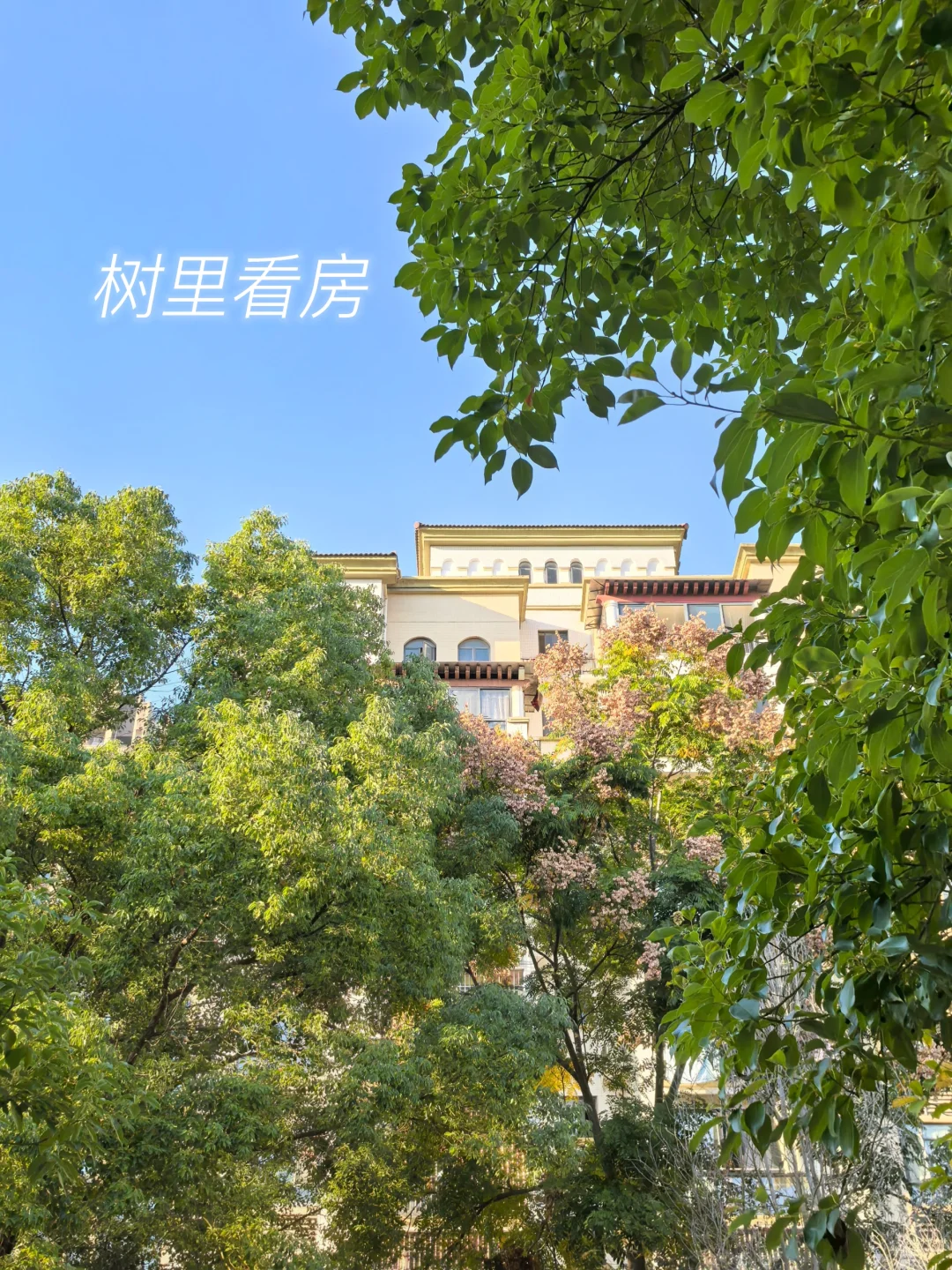 90后长沙总价65万买下地铁口的电梯洋房