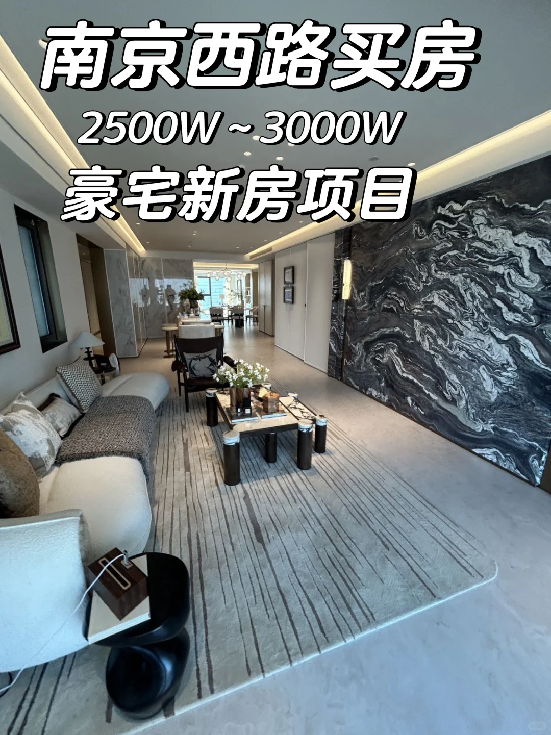 上海南京西路|预算2500-3000万买房