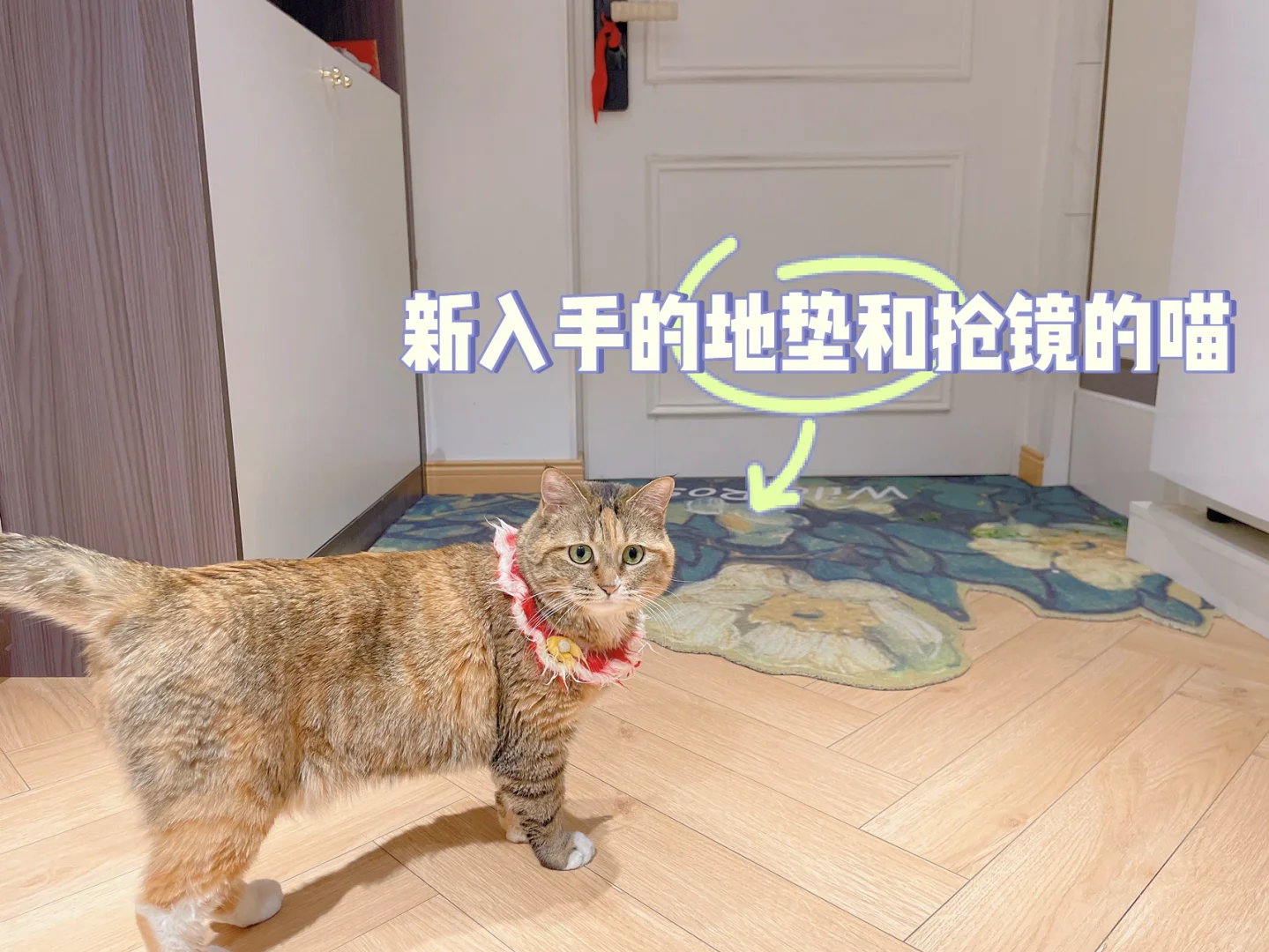 🏠Loft小屋｜我妈说这样的小屋硬装4w有点值