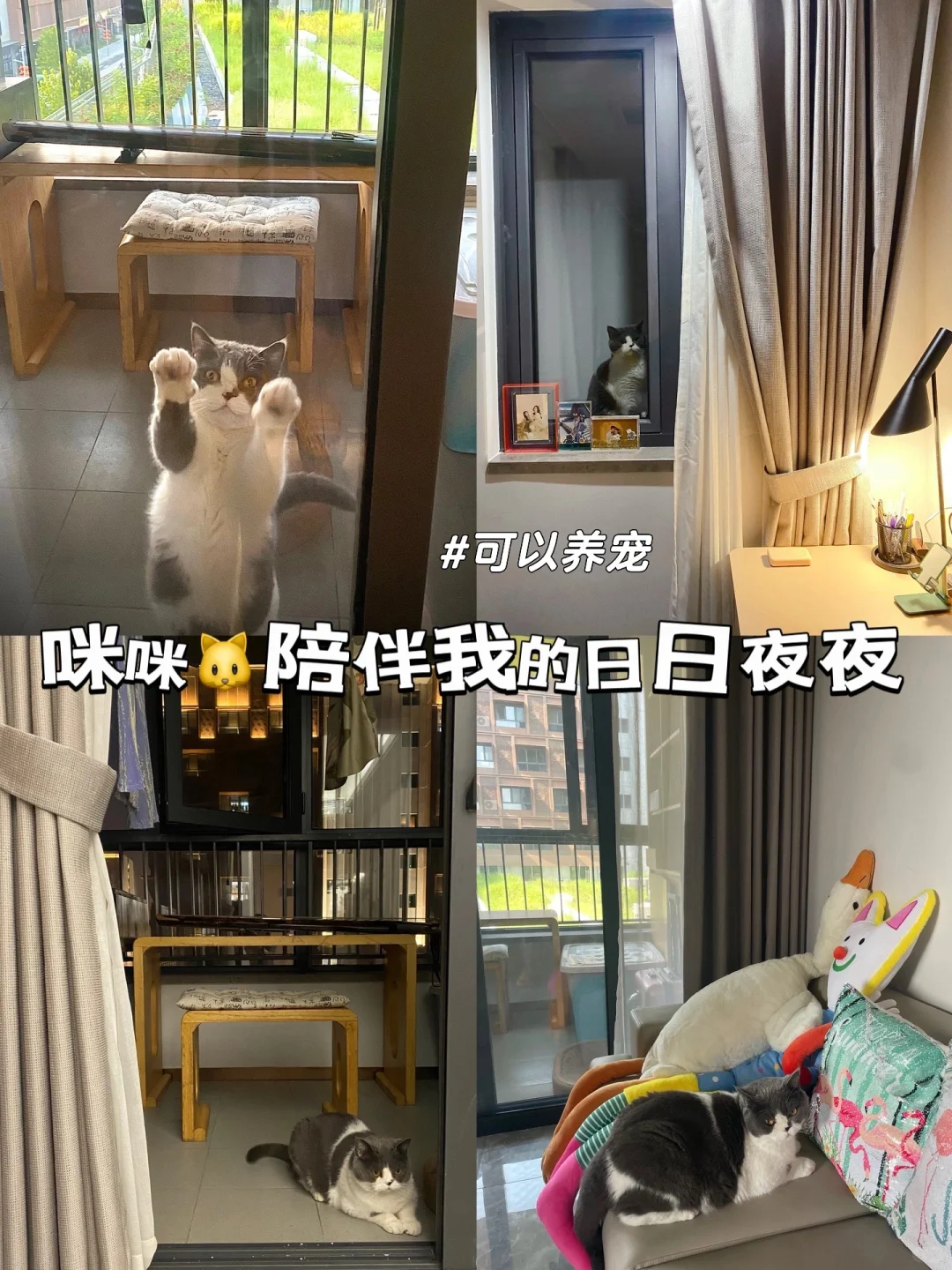 关于雄安城家，你想了解的都在这里