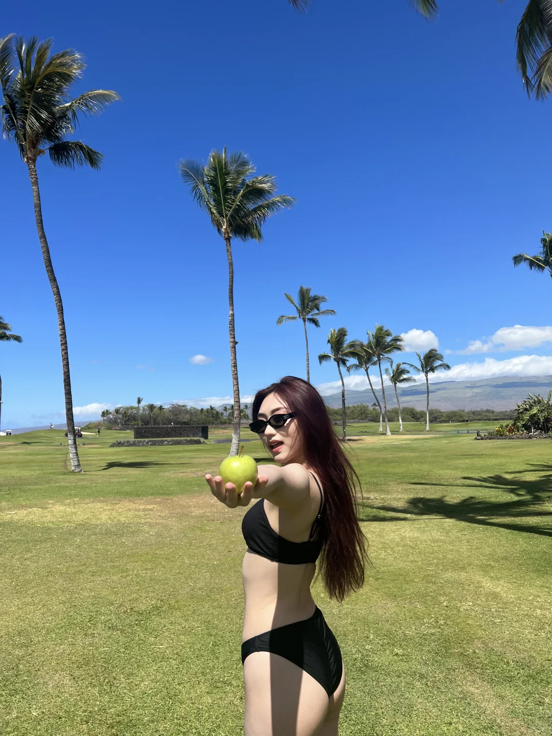 Find me under the palm trees 🌴☁️⛰️🕊️