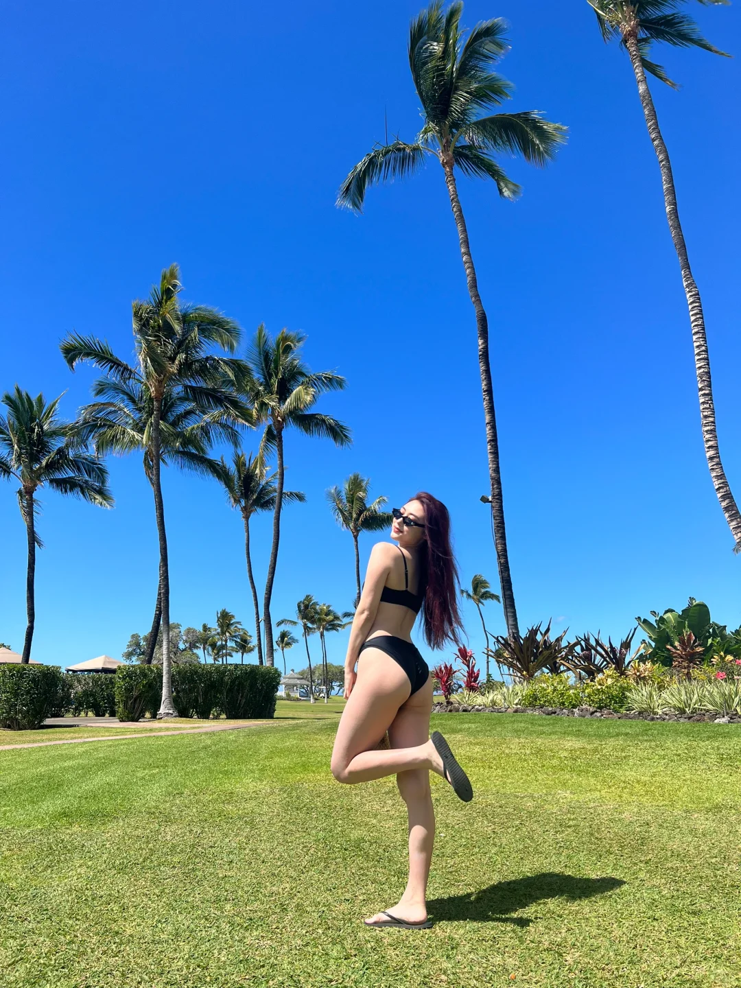 Find me under the palm trees 🌴☁️⛰️🕊️