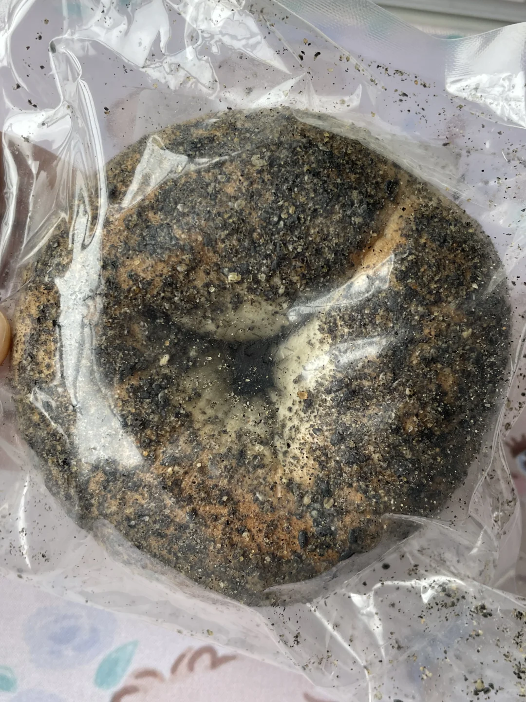 这么诱人的贝果🥯快艾特好朋友给你买🥰
