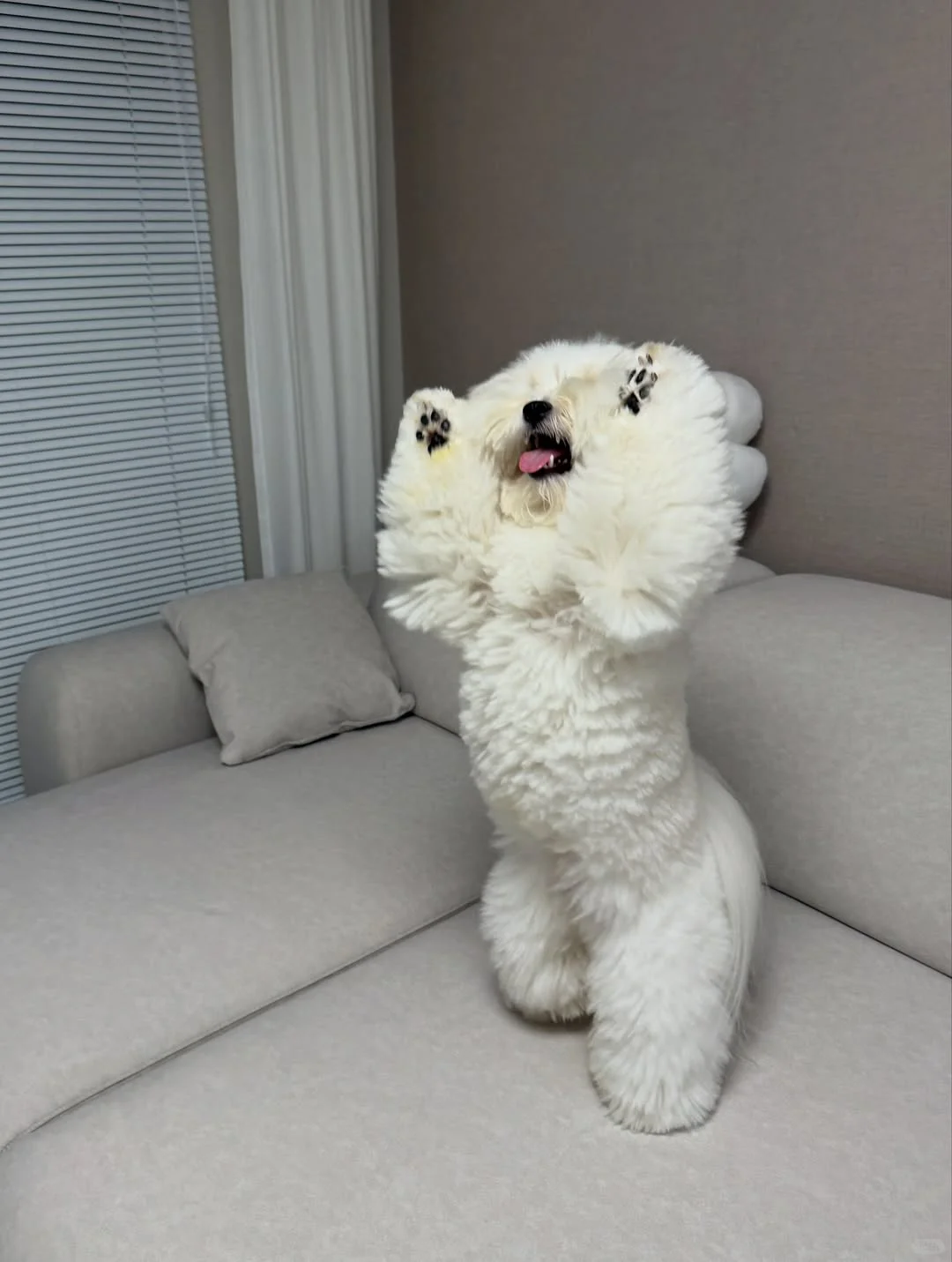 这妖娆的身姿