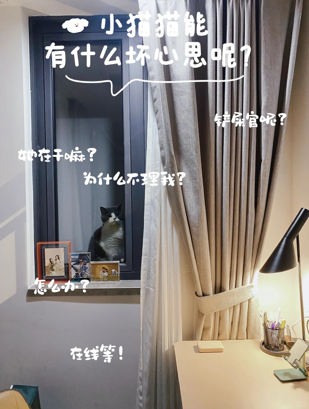 关于雄安城家，你想了解的都在这里