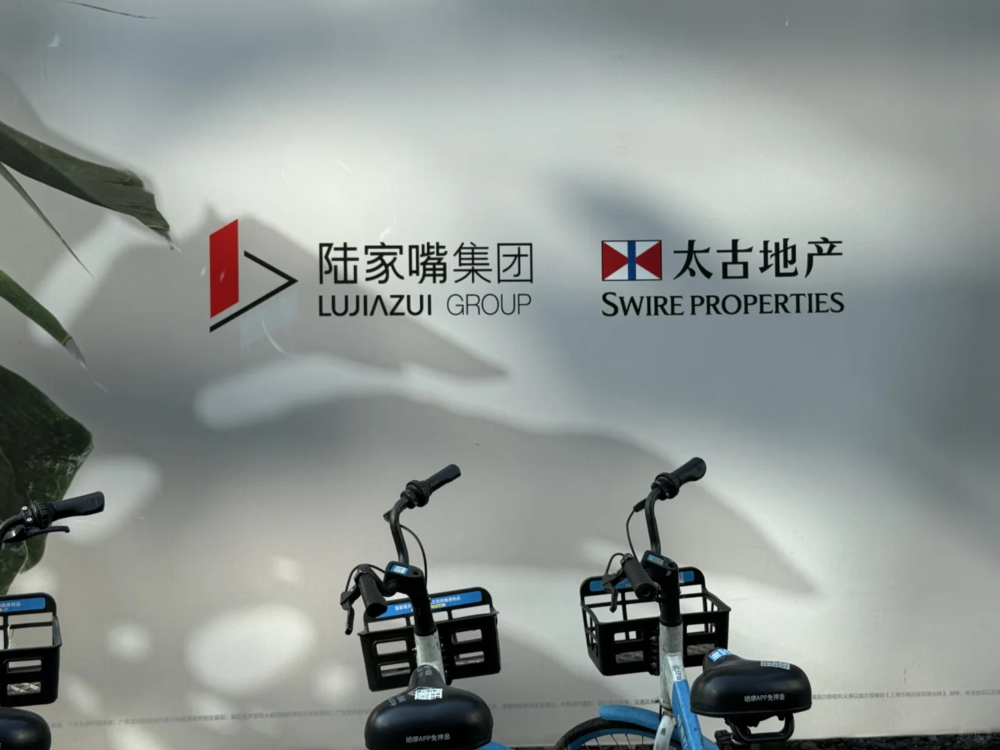 魔都平层🏢踩盘之陆家嘴太古源