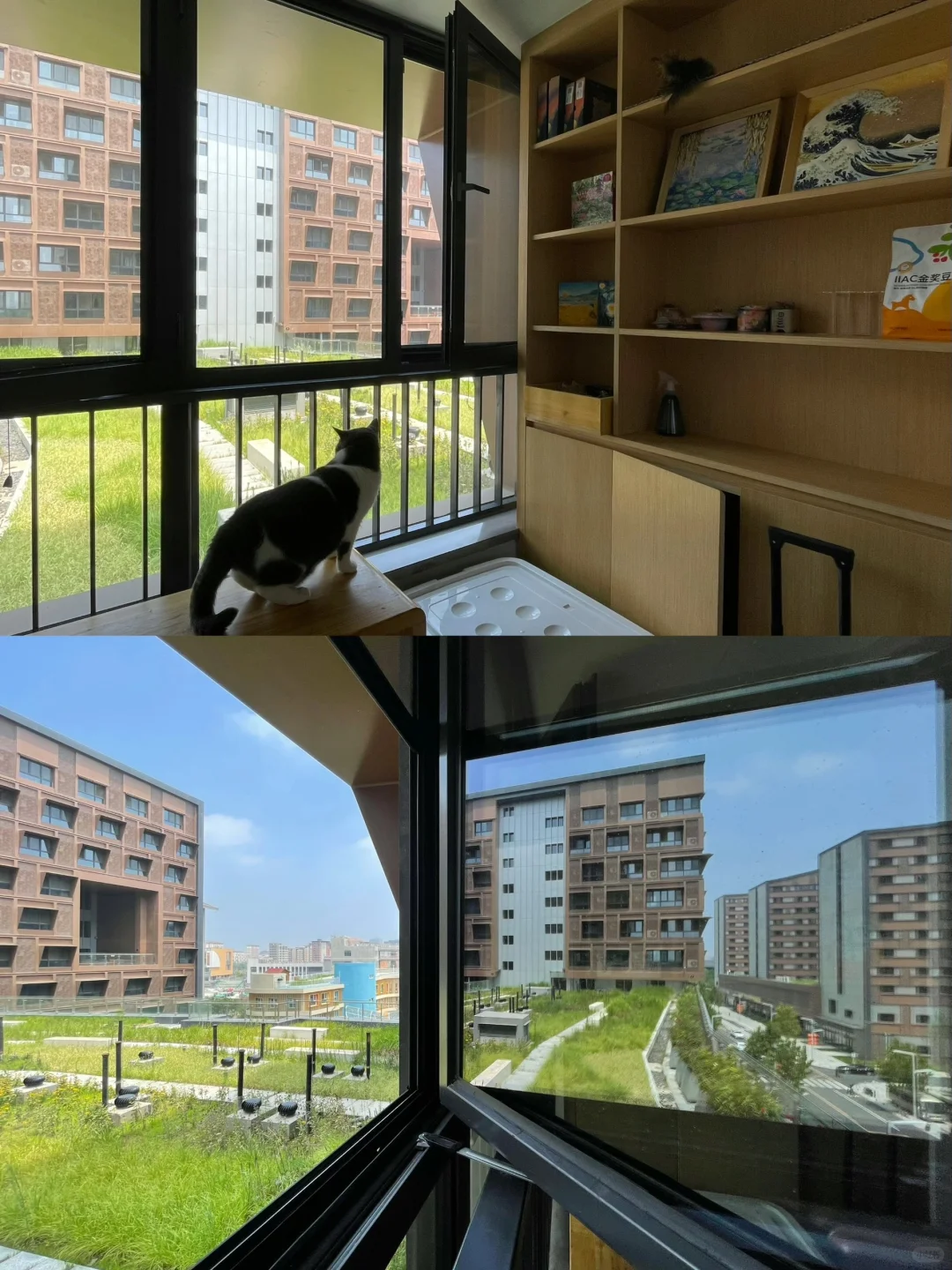关于雄安城家，你想了解的都在这里