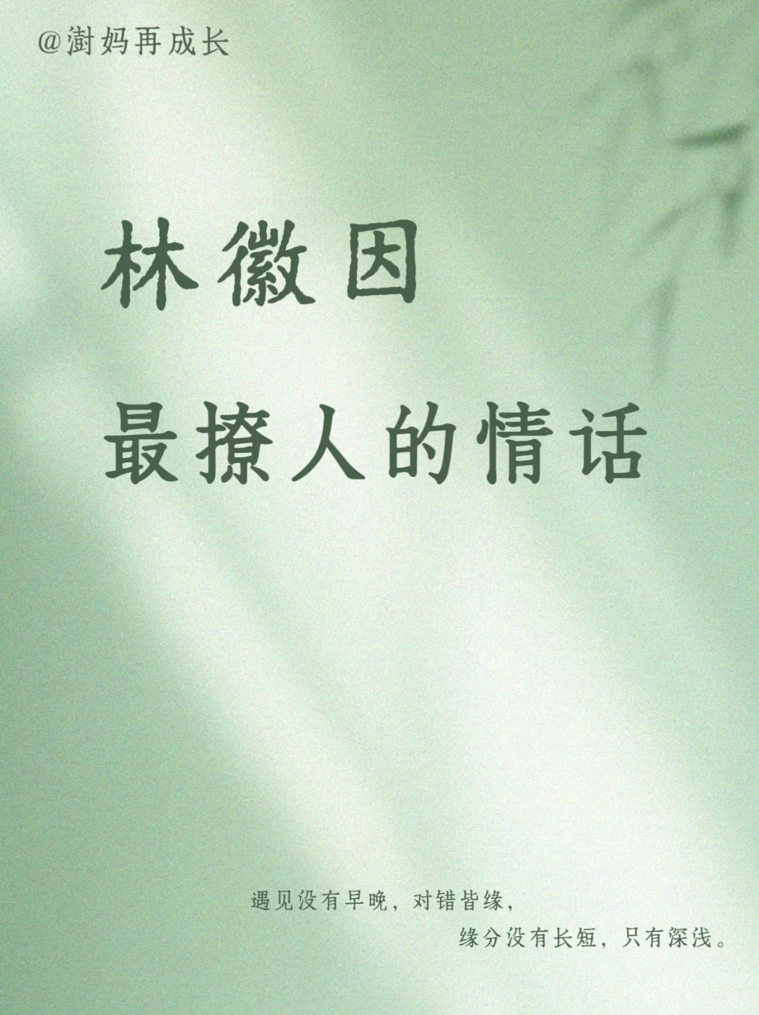 一眼万年︱林徽因︱最撩人的情话💘💘