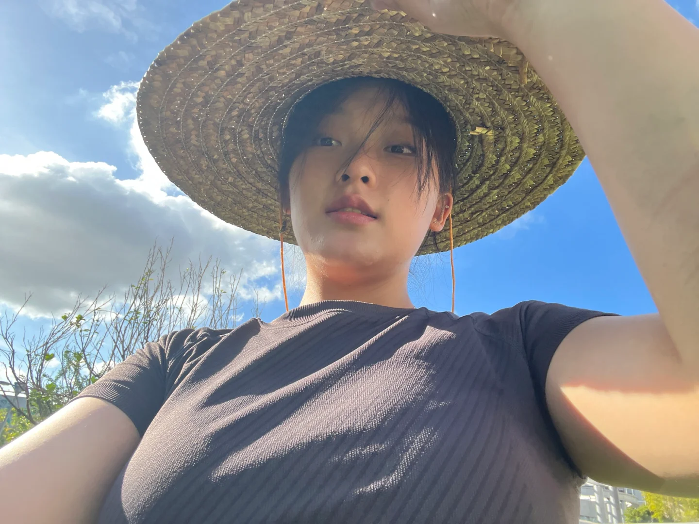 《归山》