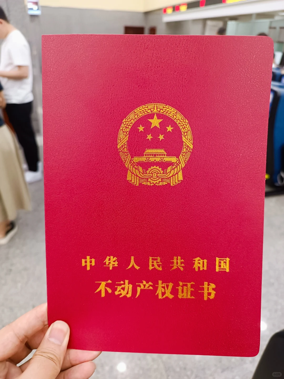 拍了楼上的法拍房