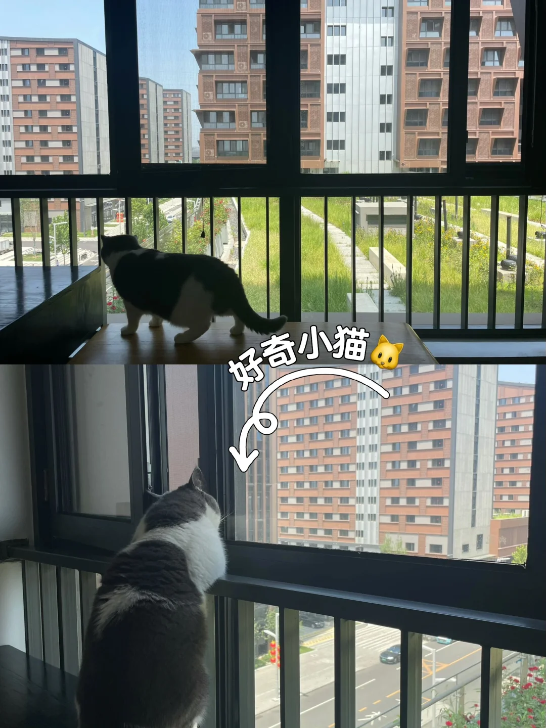 关于雄安城家，你想了解的都在这里