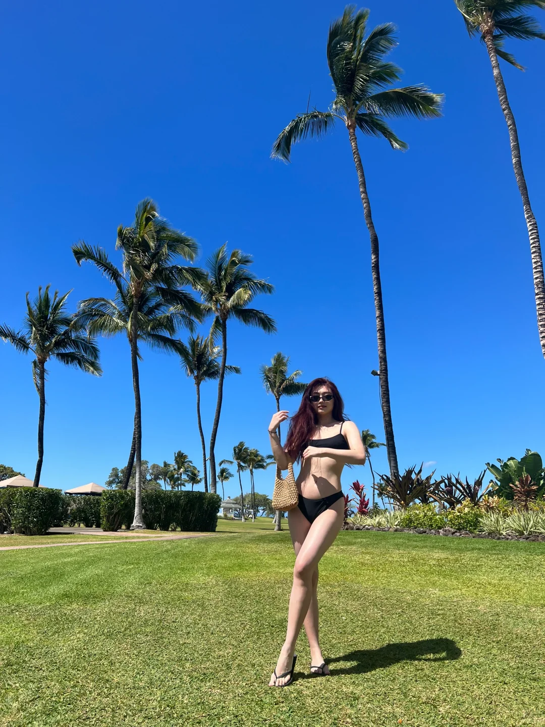 Find me under the palm trees 🌴☁️⛰️🕊️