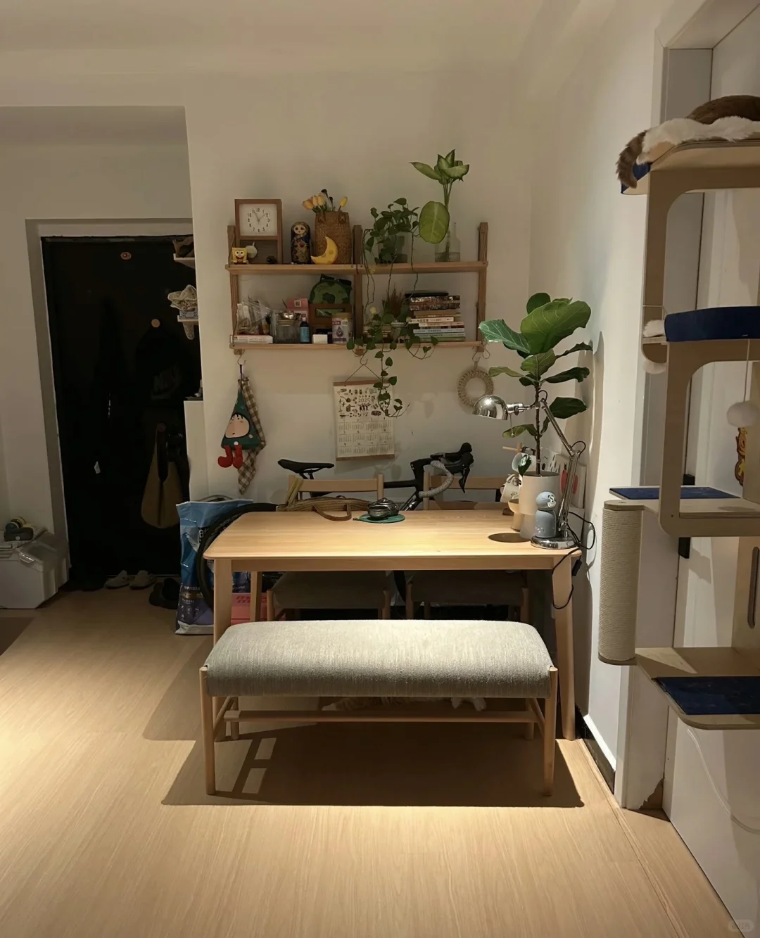 宁波·江东区·明楼·整租一室一厅