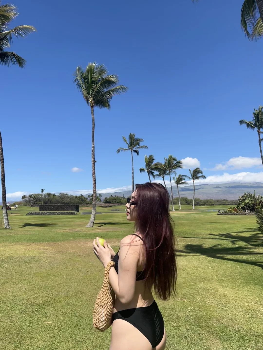 Find me under the palm trees 🌴☁️⛰️🕊️