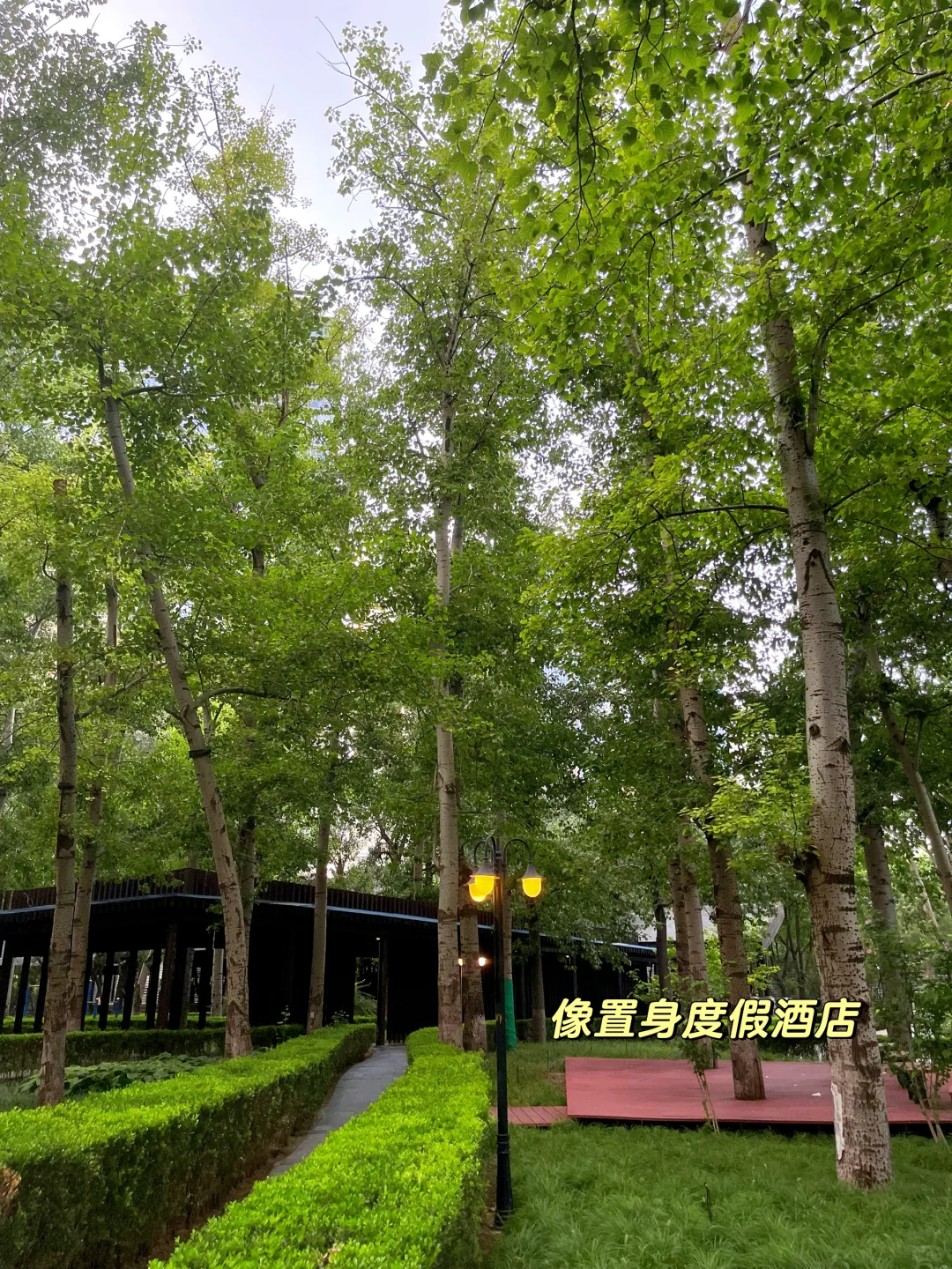 北京踩盘日记｜三元桥-凤凰城
