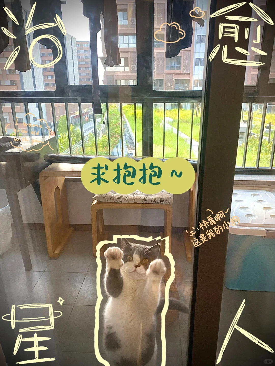 关于雄安城家，你想了解的都在这里