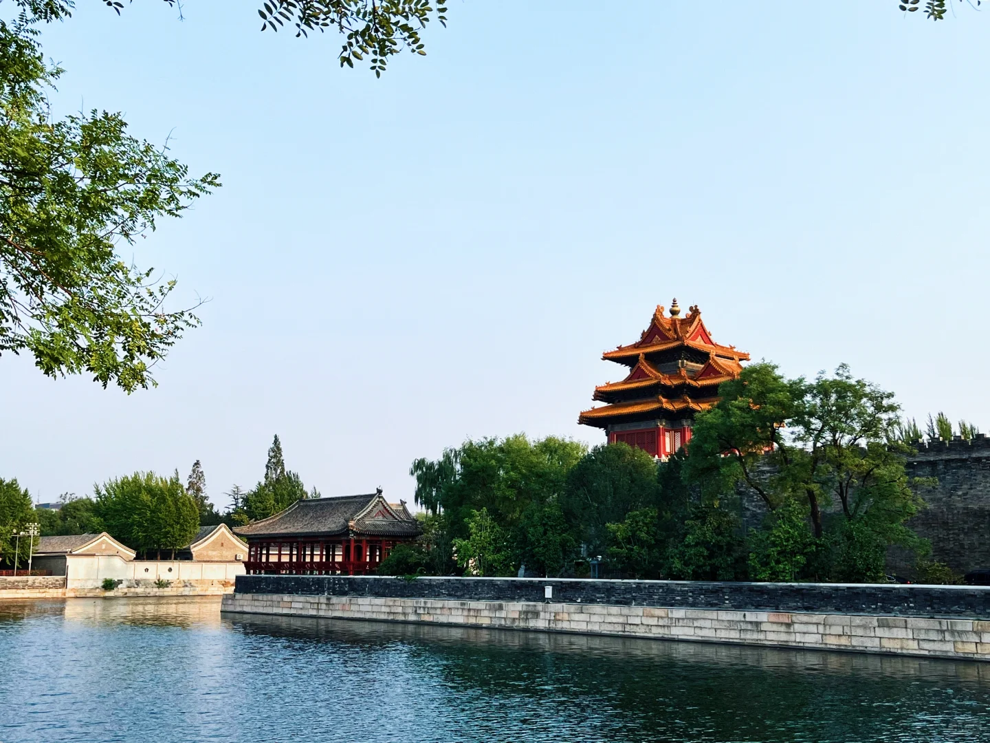 你可以不喜欢我，但求你别举报我